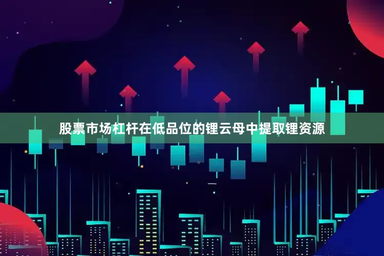 股票市场杠杆在低品位的锂云母中提取锂资源