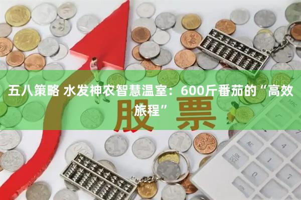 五八策略 水发神农智慧温室:600斤番茄的“高效旅程”